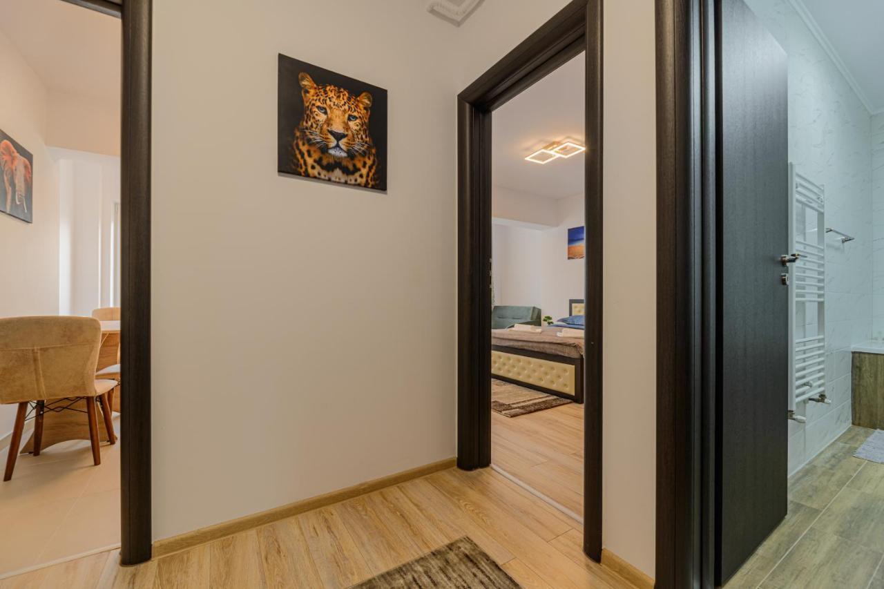 Zen Apartments Braşov Dış mekan fotoğraf